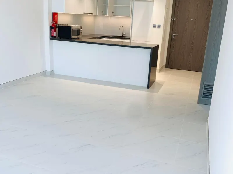 1-bedroom apartment with lagoon view, District One